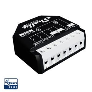 Shelly Qubino Wave 2PM